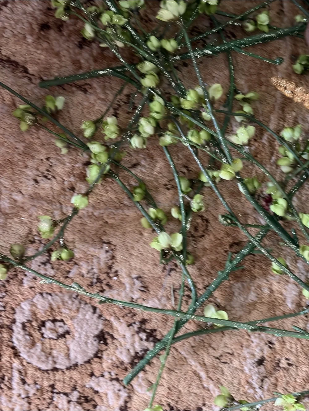 Over 30 stems. Mostly green - some red and gold NWT